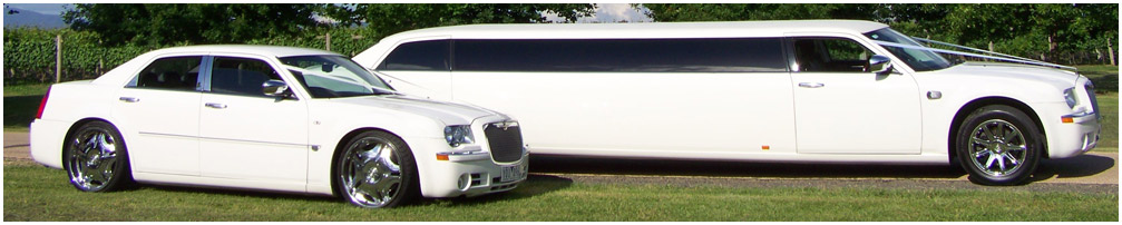 Small Wedding Party Limousine